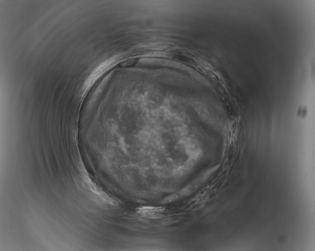 X0000115580051200912011448