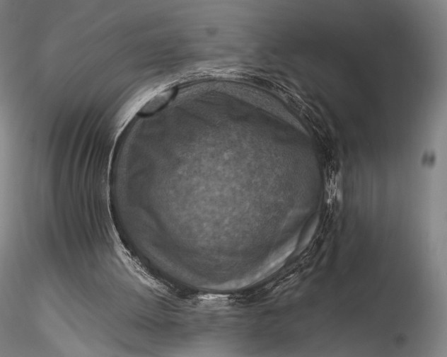 X0000115580052200912011448