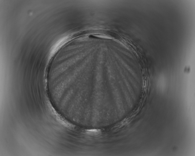 X0000115580053200912011448