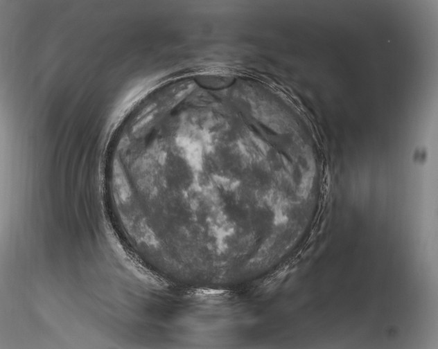 X0000115580055200912011448