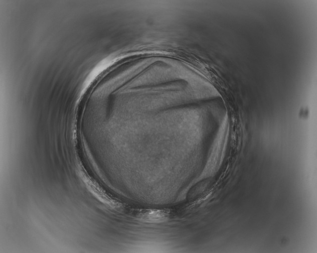 X0000115580056200912011448