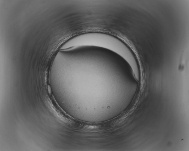 X0000115580057200912011448