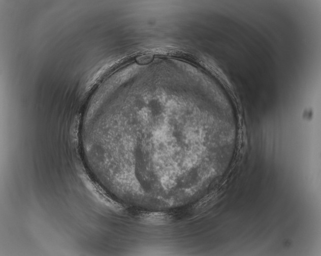 X0000115580058200912011449