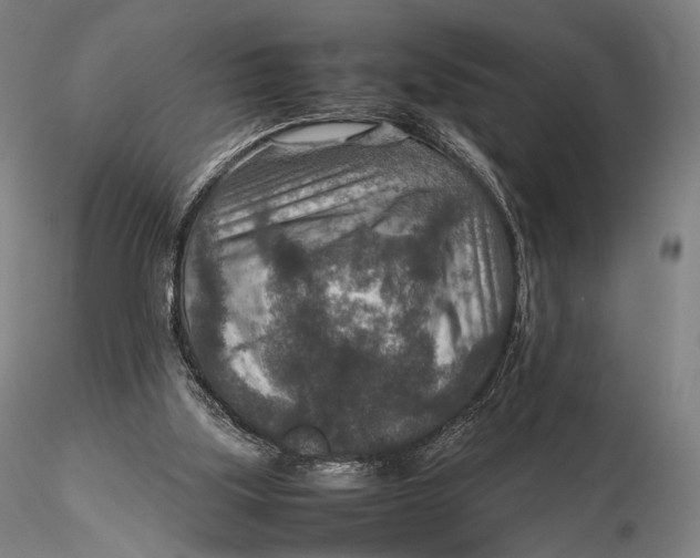 X0000115580059200912011449