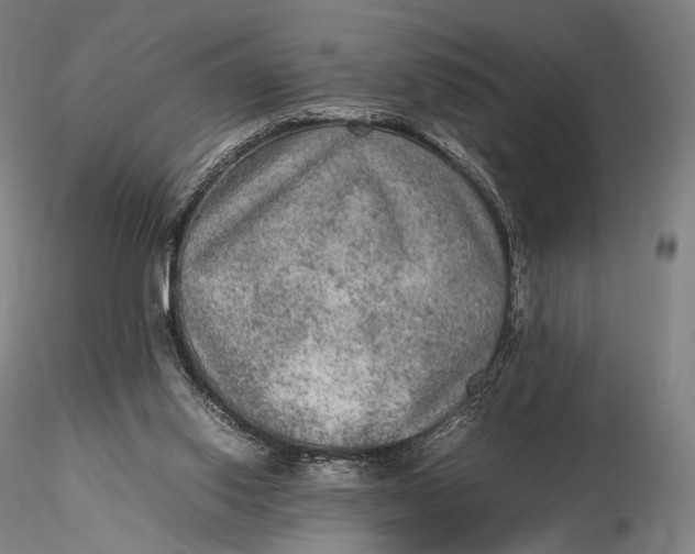 X0000115580062200912011449