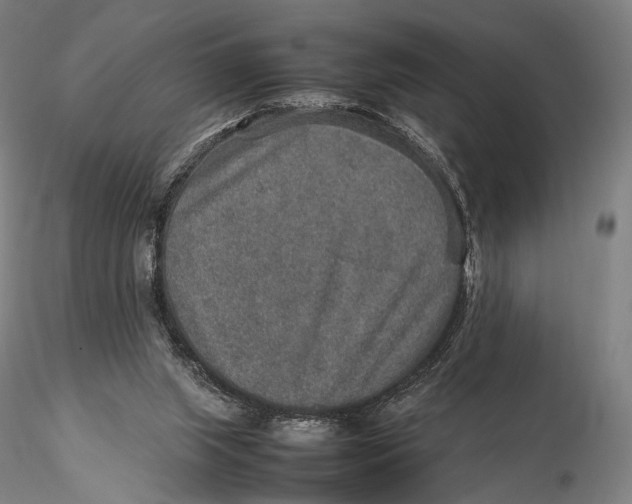 X0000115580063200912011449