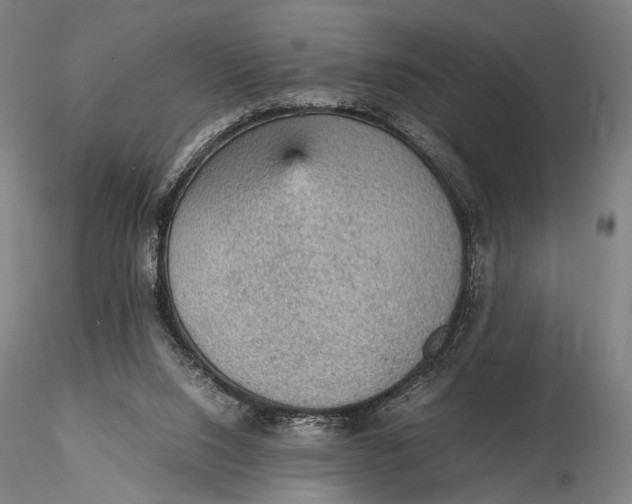 X0000115580064200912011449