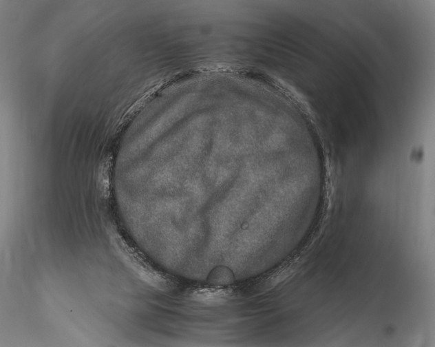 X0000115580065200912011449