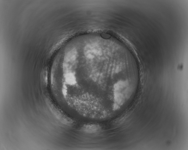 X0000115580067200912011449