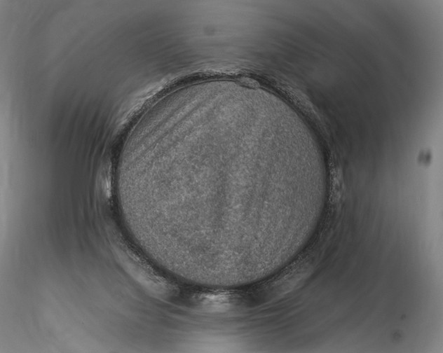 X0000115580068200912011449