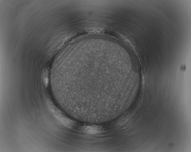 X0000115580069200912011449