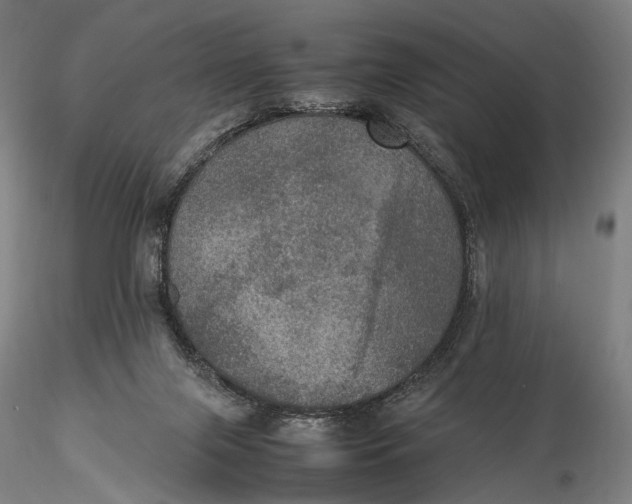 X0000115580071200912011449