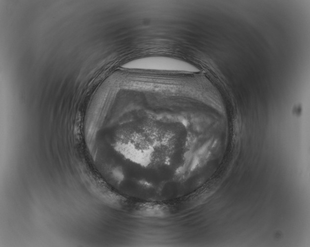 X0000115580073200912011449