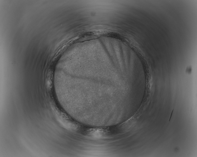 X0000115580074200912011449