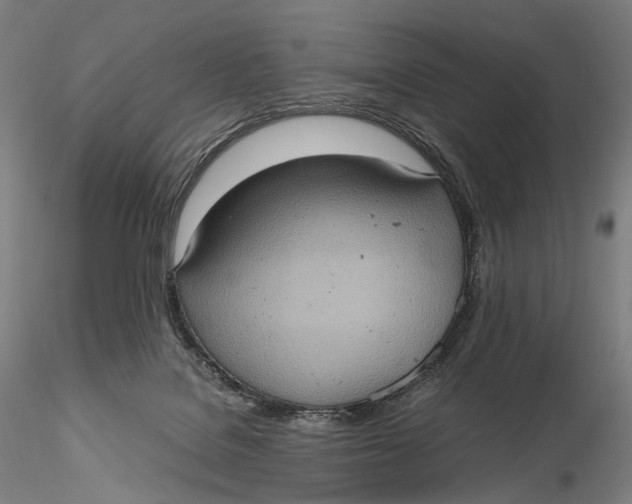 X0000115580076200912011449