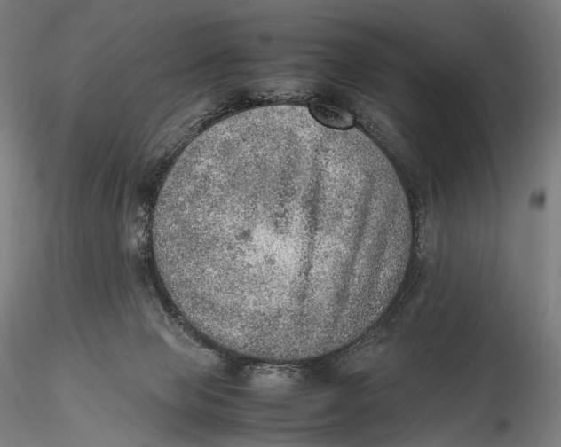 X0000115580077200912011449