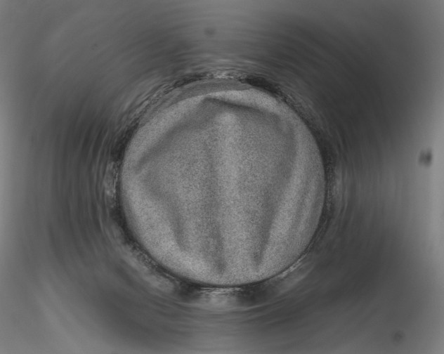 X0000115580078200912011449