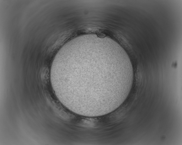 X0000115580079200912011449