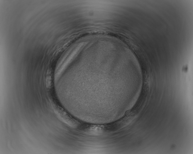 X0000115580080200912011449