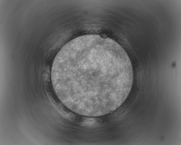 X0000115580083200912011449