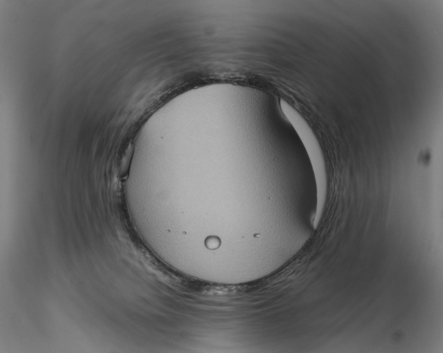 X0000115580084200912011449