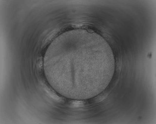 X0000115580085200912011449