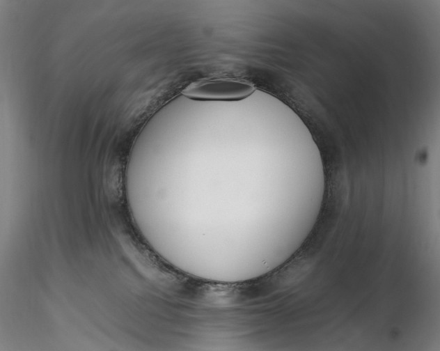 X0000115580088200912011449