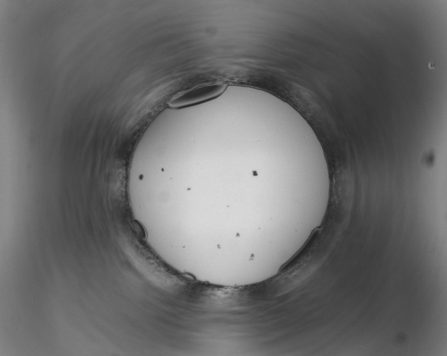 X0000115580092200912011449