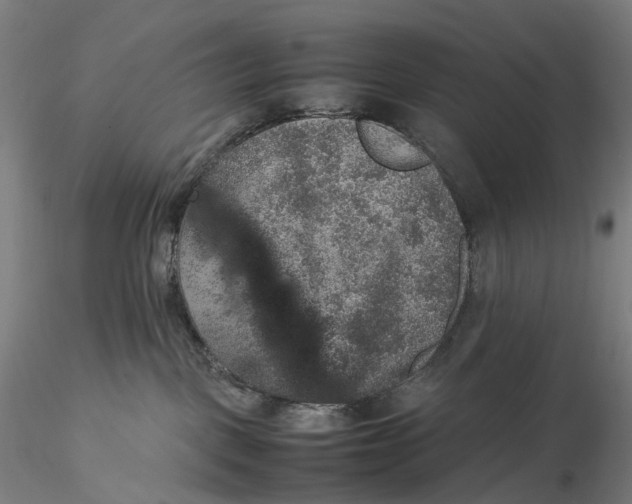 X0000115580093200912011449