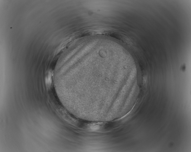 X0000115580094200912011449