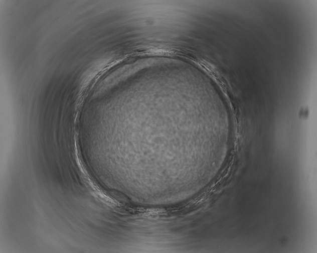 X0000115580097200912011448