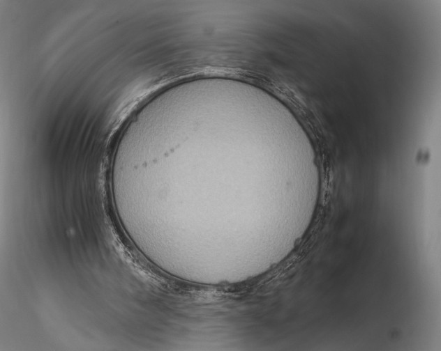 X0000115580098200912011448