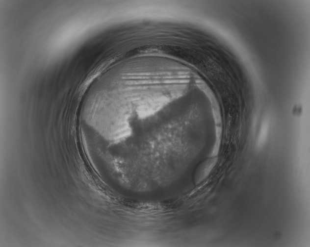 X0000115580099200912011448