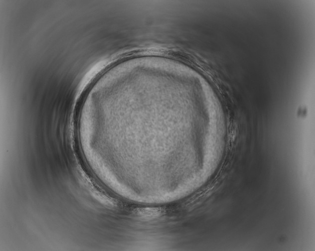 X0000115580102200912011448