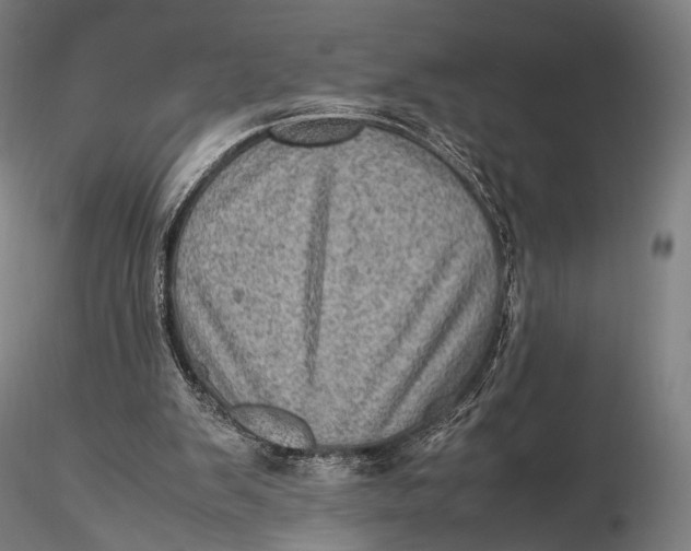 X0000115580103200912011448