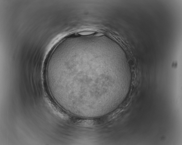 X0000115580104200912011448