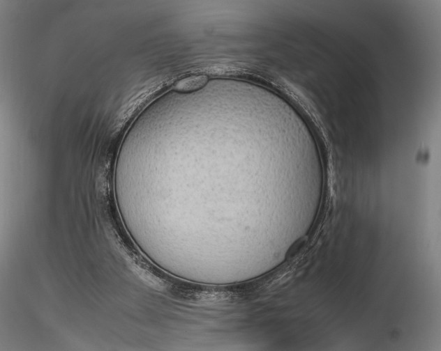 X0000115580105200912011448