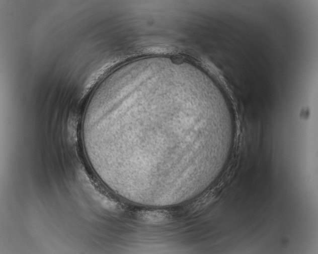 X0000115580106200912011448