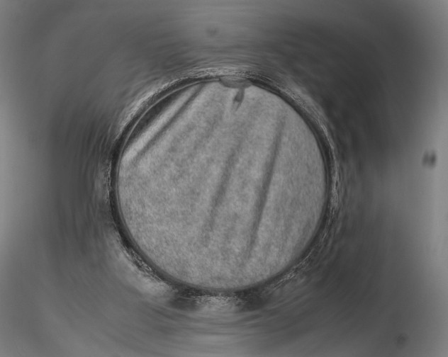 X0000115580107200912011448