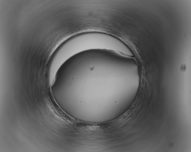 X0000115580108200912011448