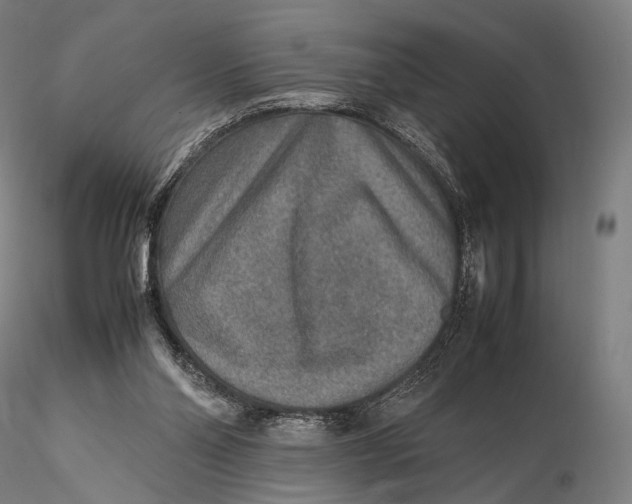 X0000115580110200912011448