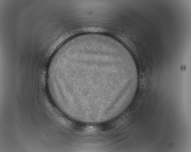 X0000115580111200912011448