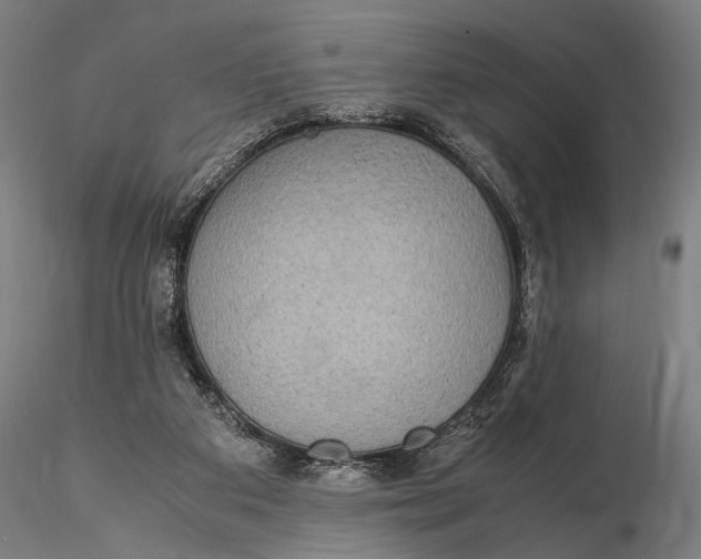 X0000115580113200912011448