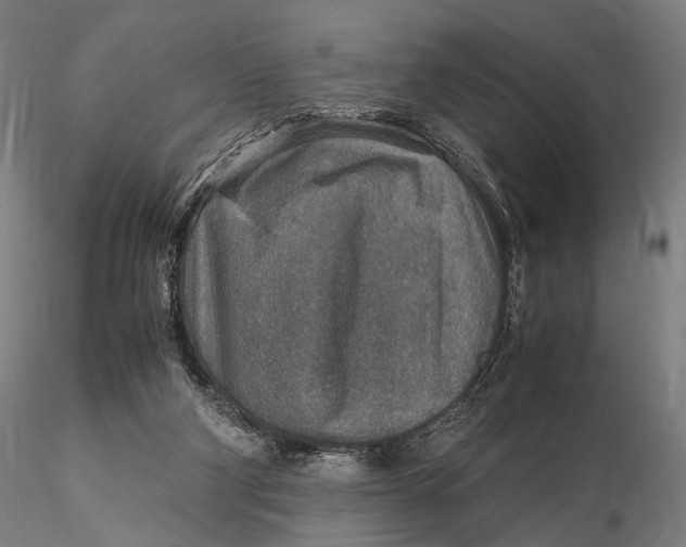 X0000115580114200912011448