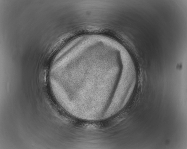 X0000115580115200912011448