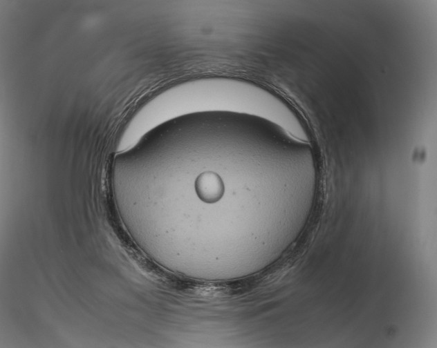 X0000115580117200912011448