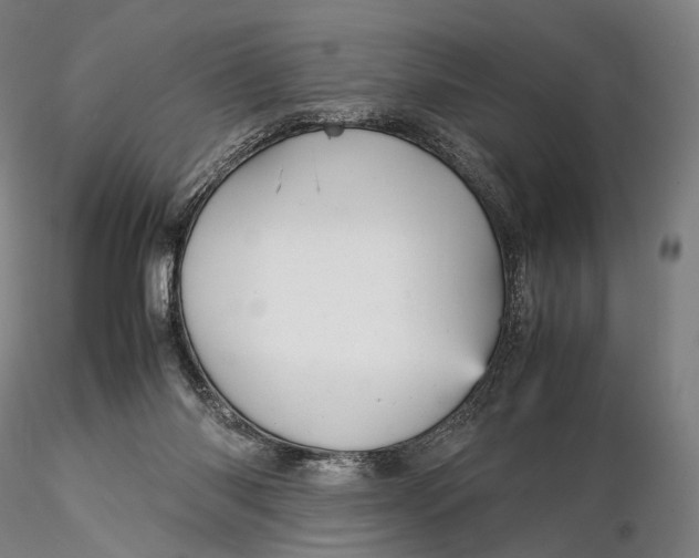 X0000115580118200912011448