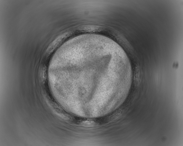 X0000115580119200912011448