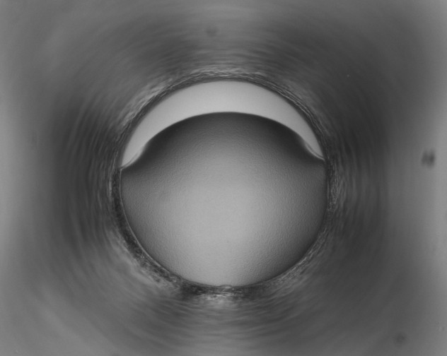 X0000115580120200912011448