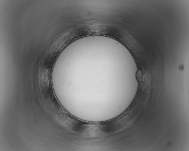 X0000115580121200912011448